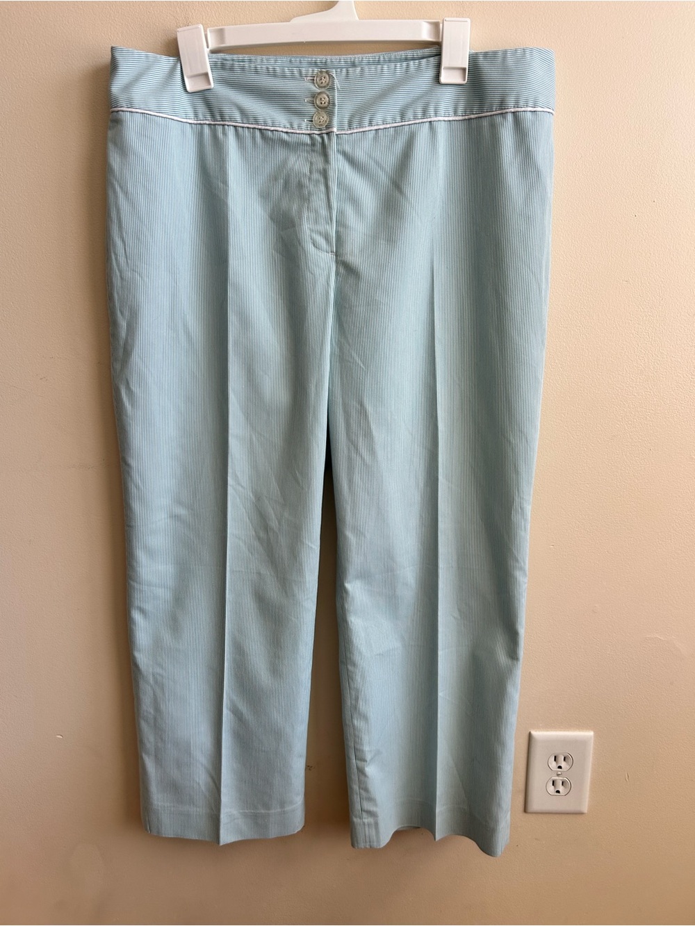 Focus 2000 Women's Light Blue And White Stripe Trouser Ankle Crop Dress Pants 16